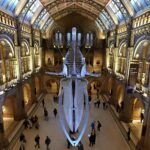 NATIONAL-HISTORY-MUSEUM-capa