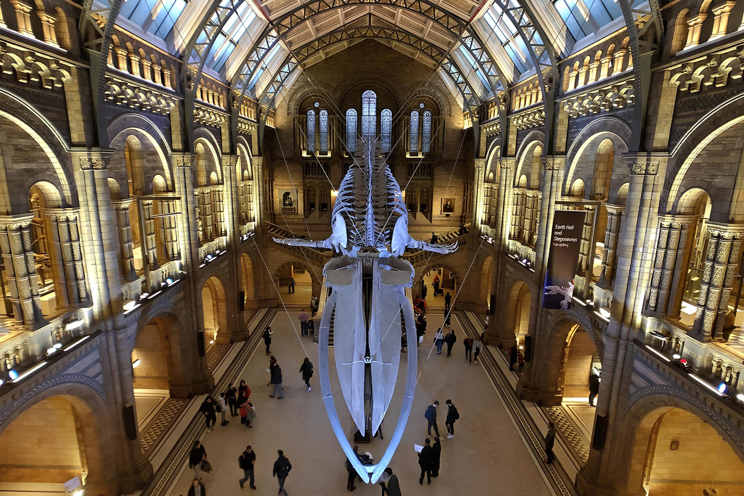 NATIONAL-HISTORY-MUSEUM-capa